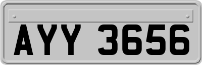 AYY3656