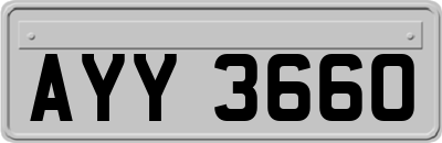 AYY3660