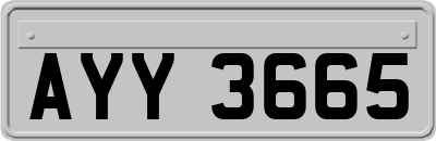 AYY3665