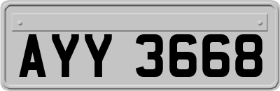 AYY3668