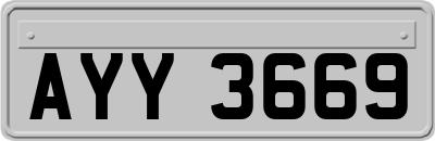 AYY3669