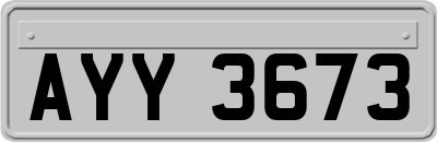 AYY3673
