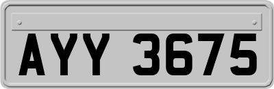 AYY3675