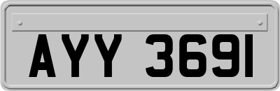 AYY3691