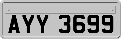 AYY3699