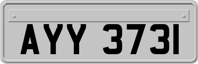AYY3731