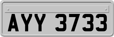 AYY3733