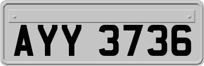 AYY3736
