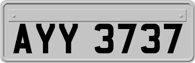 AYY3737