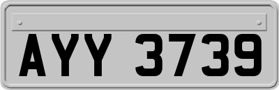 AYY3739