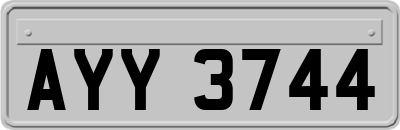 AYY3744