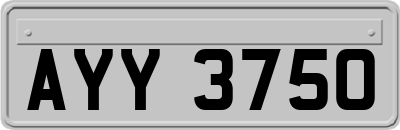 AYY3750