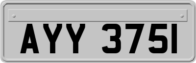 AYY3751