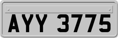 AYY3775