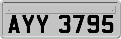 AYY3795
