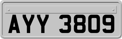 AYY3809