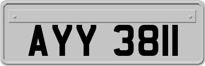 AYY3811