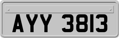 AYY3813