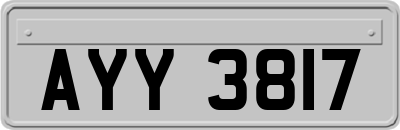 AYY3817