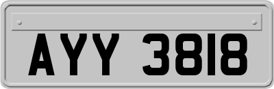 AYY3818