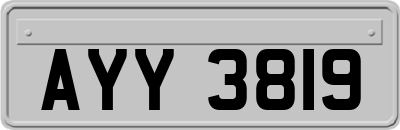 AYY3819