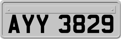 AYY3829