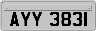 AYY3831