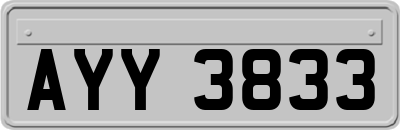 AYY3833
