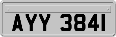 AYY3841