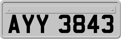 AYY3843