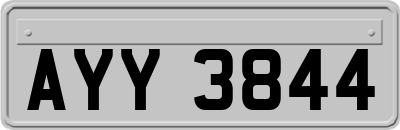 AYY3844
