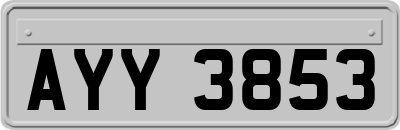 AYY3853