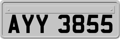 AYY3855