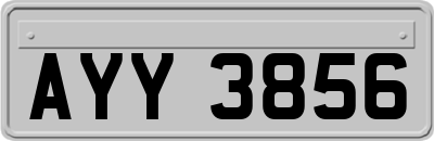 AYY3856