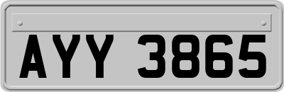 AYY3865