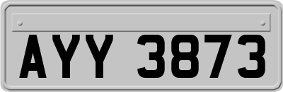 AYY3873