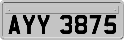 AYY3875
