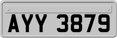 AYY3879