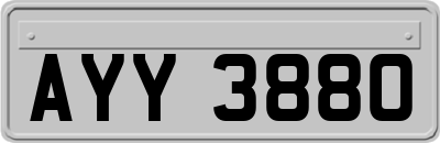 AYY3880