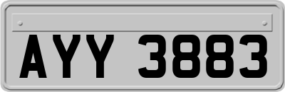 AYY3883