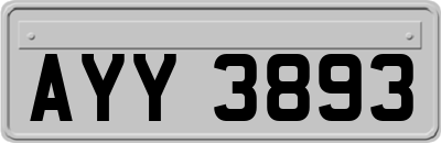 AYY3893