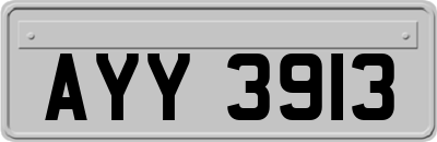 AYY3913