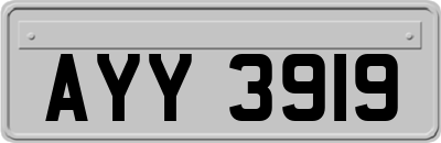 AYY3919