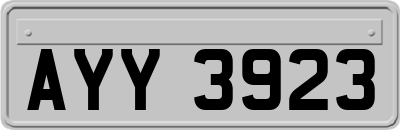 AYY3923