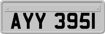 AYY3951
