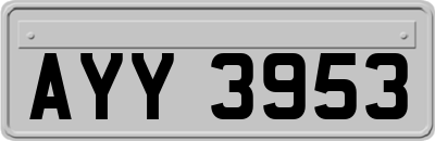 AYY3953