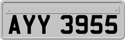 AYY3955