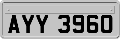 AYY3960