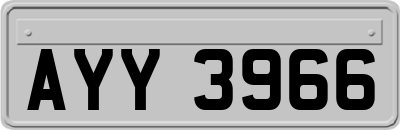 AYY3966