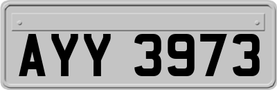 AYY3973